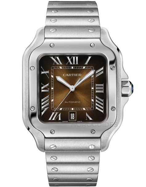 cartier wssa0065|cartier santos large lug to.